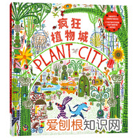 怎样培养一个孩子的专注力，咱们都希望孩子拥有的“专注力”，究竟是怎样培养出来的？