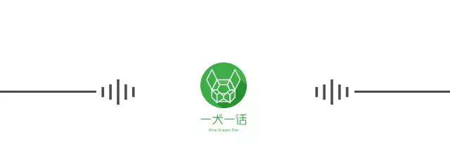 夏天热狗狗怎么散热，夏天太热给狗狗做个美容？你需要知道这些…