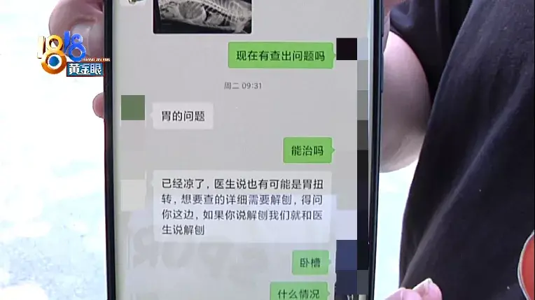 训狗狗哭了，训犬学校里出意外，“乐乐汪”说态度积极