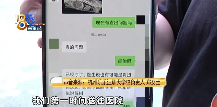 训狗狗哭了，训犬学校里出意外，“乐乐汪”说态度积极