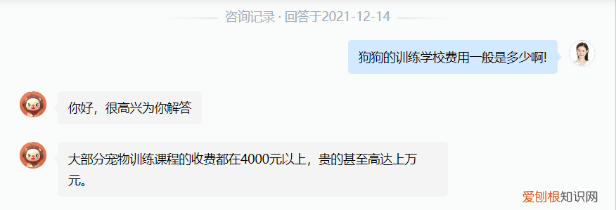 开个宠物学校需要什么手续，训练1只狗收费2万？宠物学校那么赚钱，为什么很少有人开？