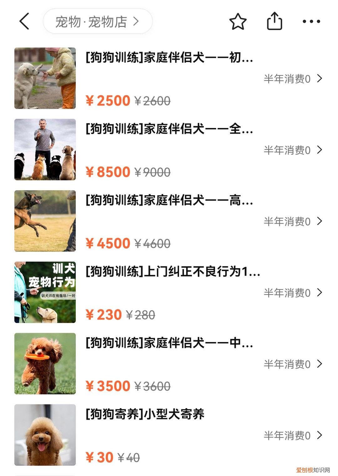 开个宠物学校需要什么手续，训练1只狗收费2万？宠物学校那么赚钱，为什么很少有人开？