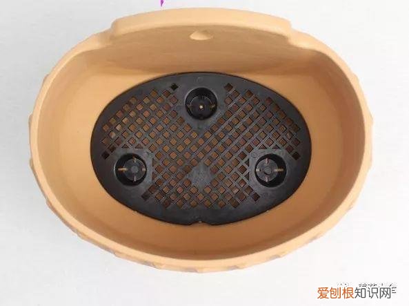 多肉如何叶插繁殖，多肉叶插有方法，学会这一招，再也不用花钱买！