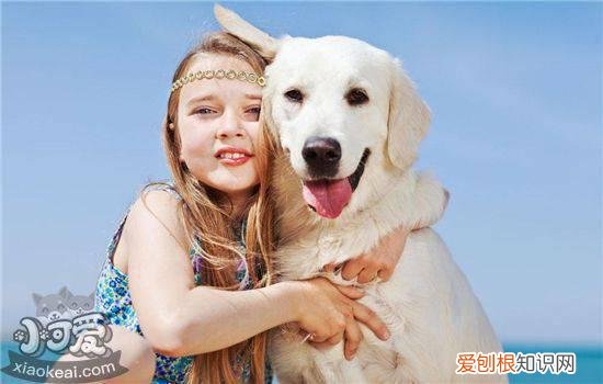 狗狗不进笼子怎么办，这样做让它爱上关门，狗狗不愿意关笼子怎么办