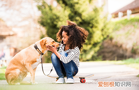 训犬师累吗，最让训犬师崩溃的5件事，训练狗狗可没有想象那么帅气轻松