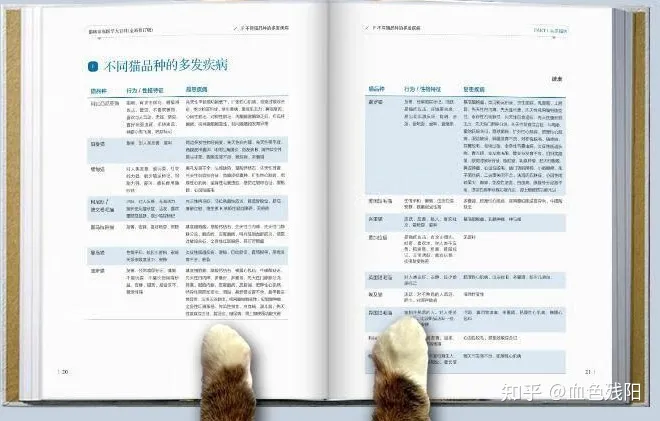 猫狗 猫狗医生要学什么专业,自学宠物医学,看什么教材比较好?