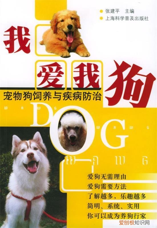 猫狗 猫狗医生要学什么专业,自学宠物医学,看什么教材比较好?