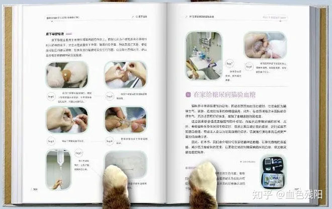 猫狗 猫狗医生要学什么专业,自学宠物医学,看什么教材比较好?