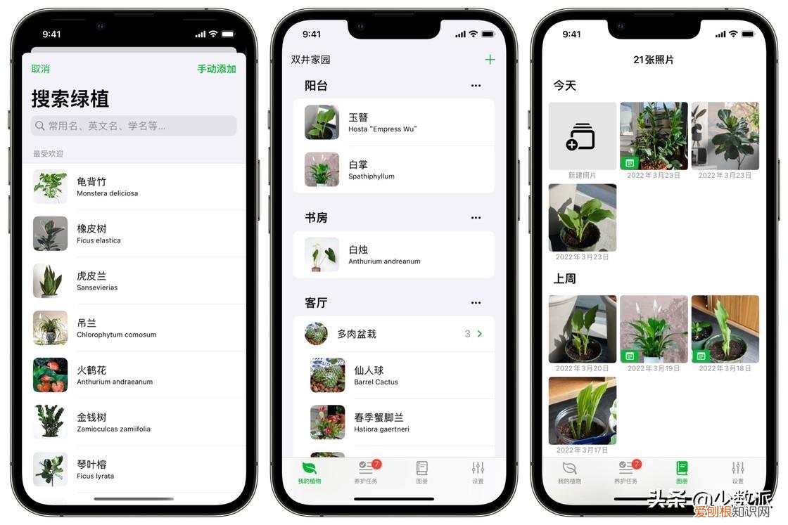 家里有植物人妈妈，给居家植人的礼物，我为家里的花花草草写了一个 App：植物宝