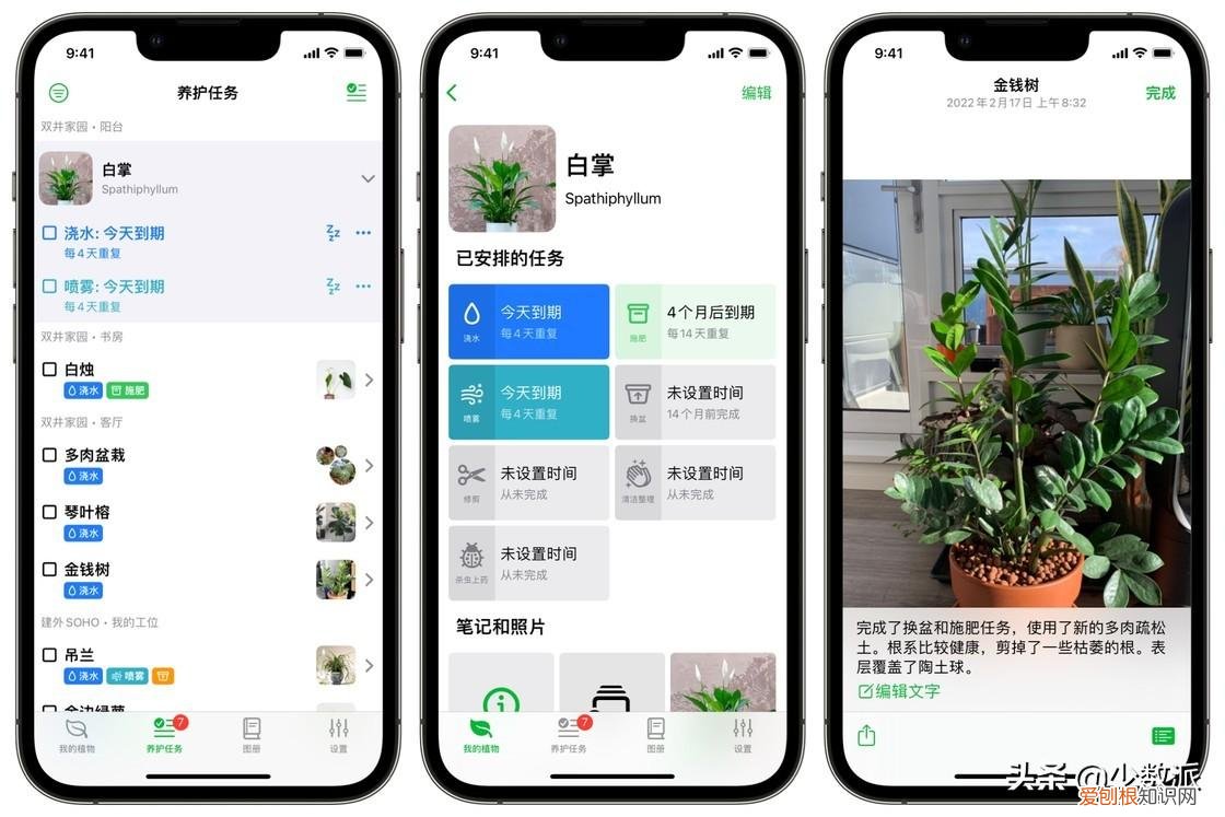 家里有植物人妈妈，给居家植人的礼物，我为家里的花花草草写了一个 App：植物宝