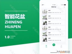智能花盆方案总结，智能花盆app开发解决方案及亮点功能设计