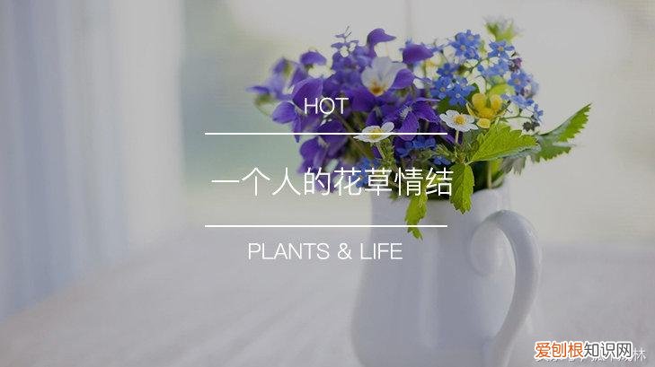 好种的花卉有哪些花期短的品种，推荐几款关于植物，花卉，园艺的，非常不错的手机APP