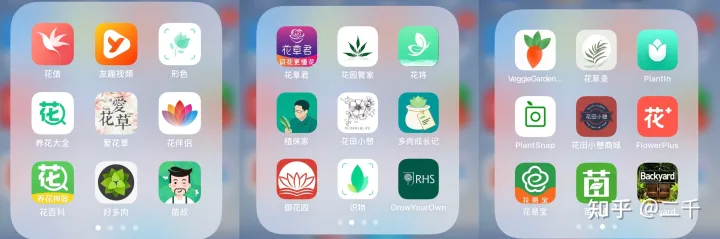 爱买花的人对花店的期望，想问各位爱花人士，觉不觉得目前市场上没有提供一个专门教大家养花供大家交流养花技巧的APP啊?