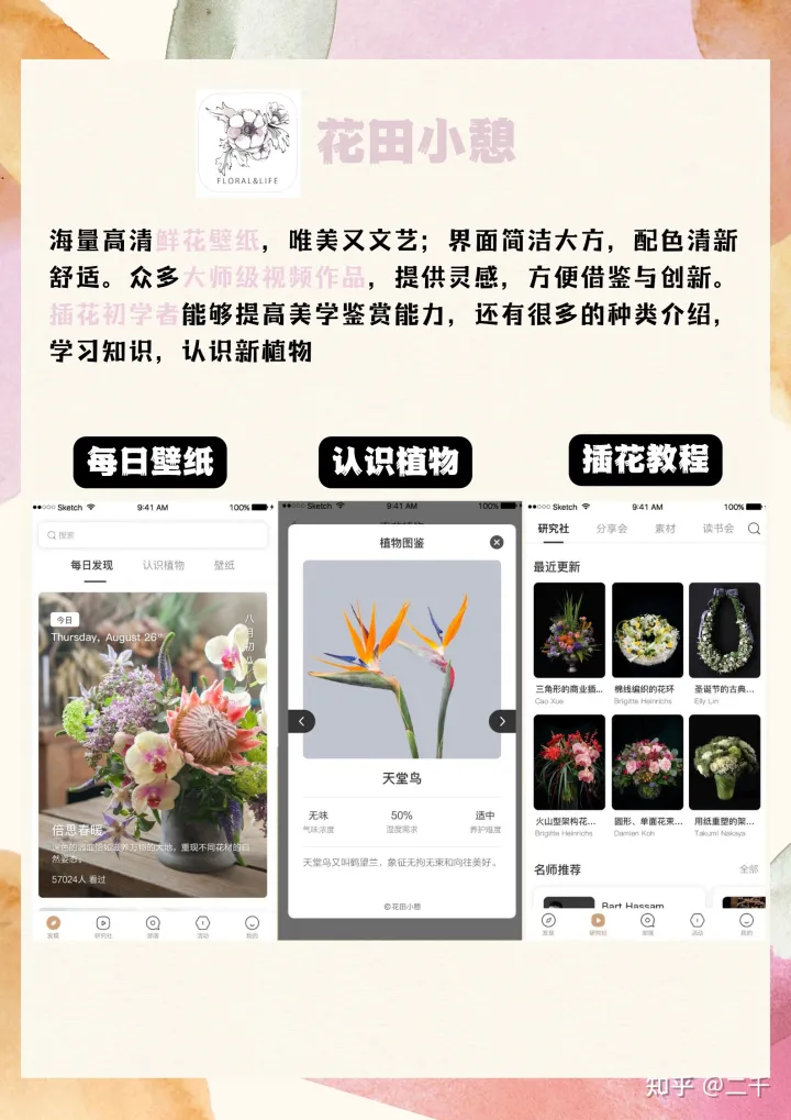 爱买花的人对花店的期望，想问各位爱花人士，觉不觉得目前市场上没有提供一个专门教大家养花供大家交流养花技巧的APP啊?