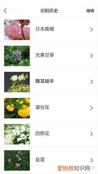 附教程 识花app哪个最好，识花app