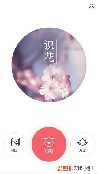 附教程 识花app哪个最好，识花app