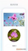 附教程 识花app哪个最好，识花app