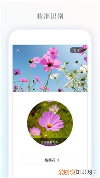 附教程 识花app哪个最好，识花app