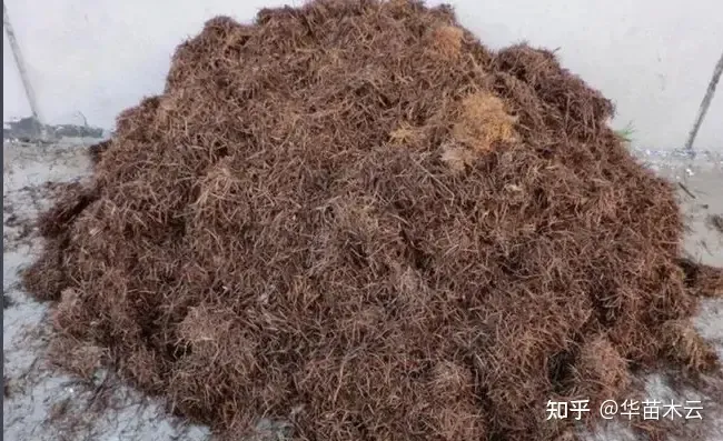 家庭盆栽养花工具，养花工具清点：这些懒人养花必备神器你get到了吗？