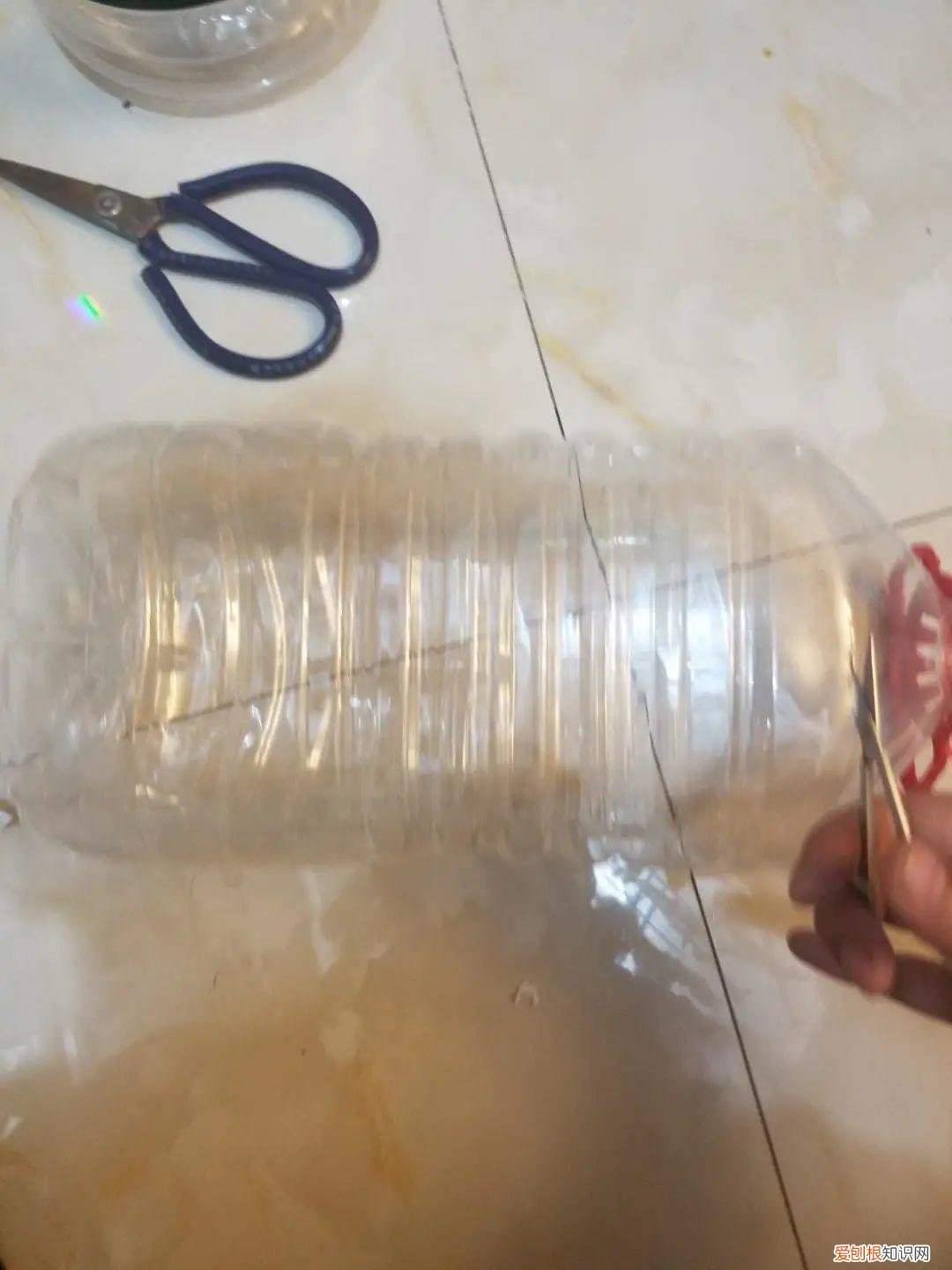 用塑料瓶子做花盆简单又好看,一个塑料瓶也能养花,浇水当花盆样样都好用,附教程