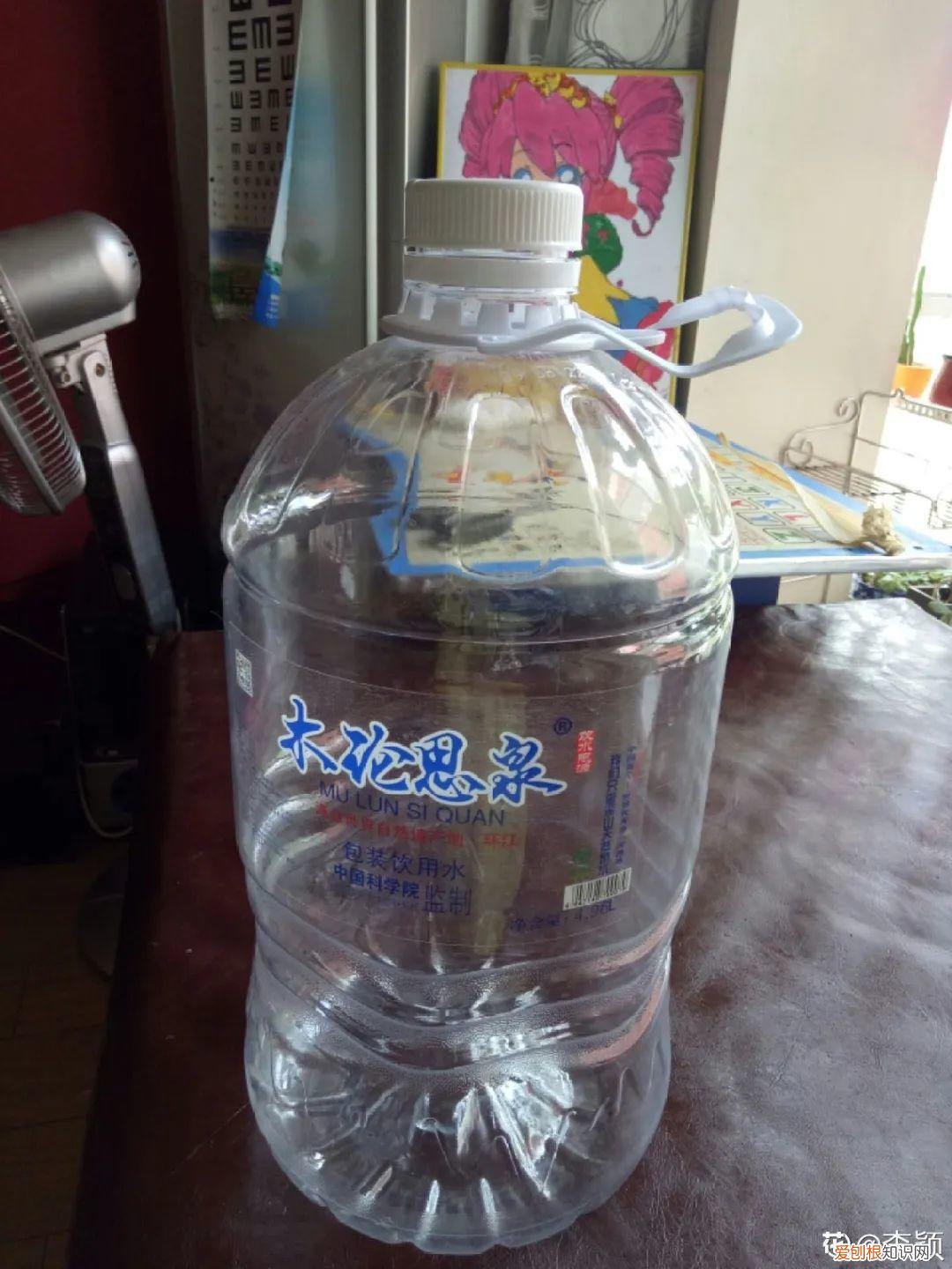 用塑料瓶子做花盆简单又好看,一个塑料瓶也能养花,浇水当花盆样样都好用,附教程