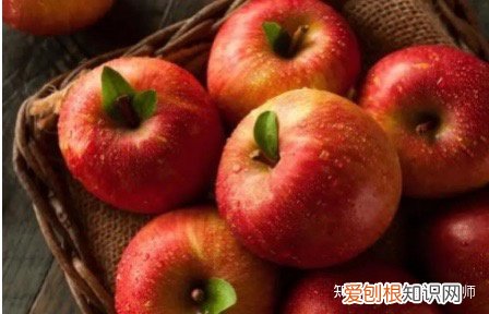 生活小常识这些小常识怎么写作文，有哪些必须知道的生活小常识？