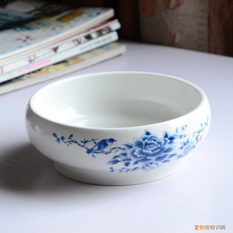 怎样养水培水仙花,水培水仙养护技巧,从选购到上盆,从发芽到开花,超级实用