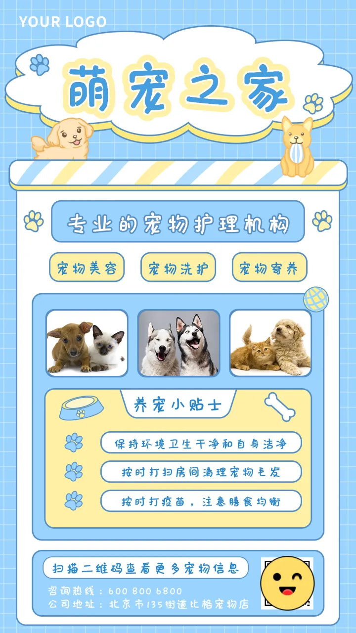 宠物店海报背景图，海报设计|怎么制作好看的宠物店宣传海报？赶紧收藏