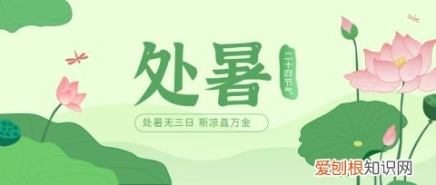 宠物店海报背景图，海报设计|怎么制作好看的宠物店宣传海报？赶紧收藏
