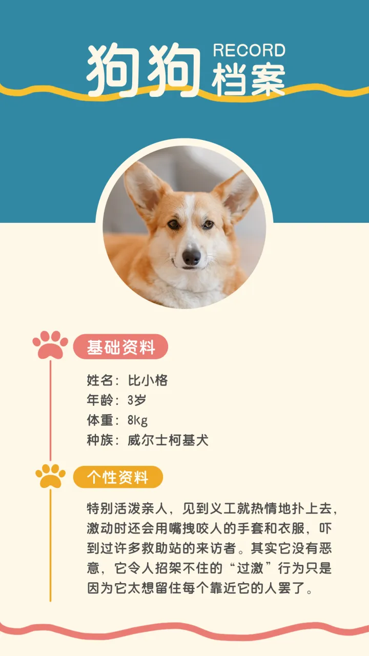 宠物店海报背景图，海报设计|怎么制作好看的宠物店宣传海报？赶紧收藏
