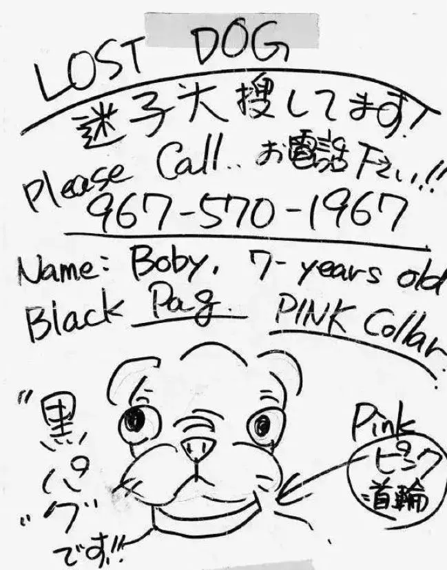 动物世界的海报,寻宠物启示被设计成超赞的海报?果然高手在人间…