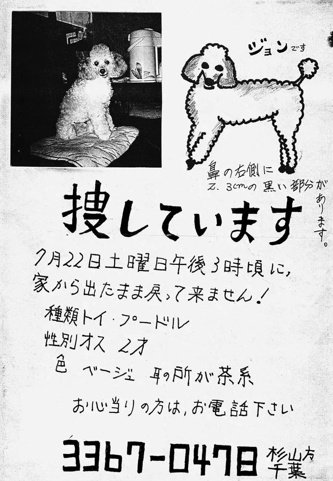 动物世界的海报,寻宠物启示被设计成超赞的海报?果然高手在人间…