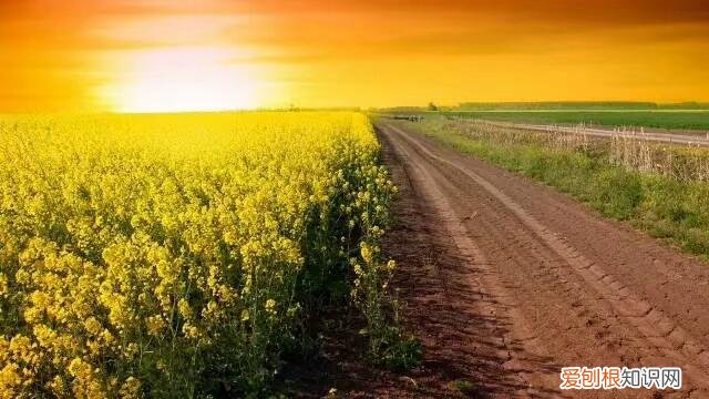 很少人知道的生活常识，41个生活常识，读后受用，一定收藏