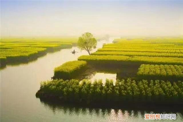 很少人知道的生活常识，41个生活常识，读后受用，一定收藏