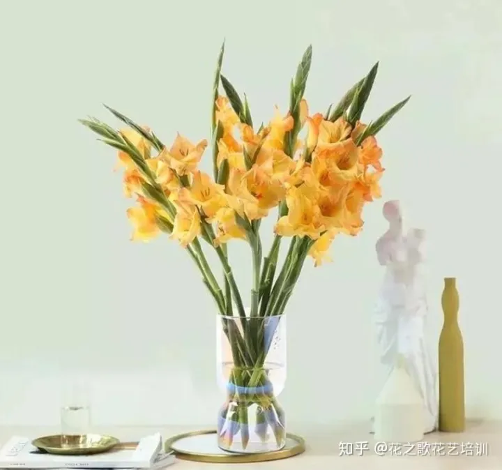 花材和花束，花艺基础知识|等待是为了更好的相逢，必备收藏的花材养护攻略！