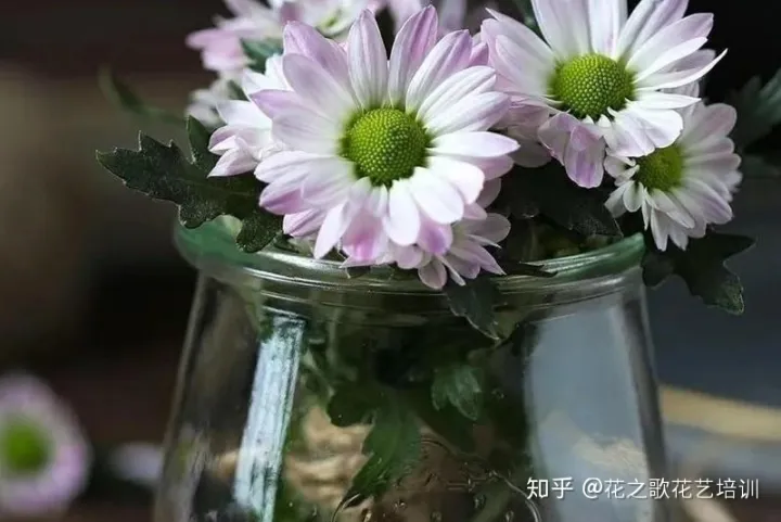 花材和花束，花艺基础知识|等待是为了更好的相逢，必备收藏的花材养护攻略！