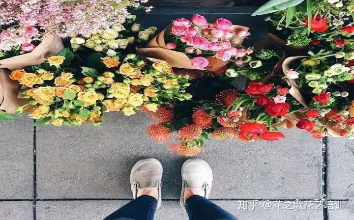 花材和花束，花艺基础知识|等待是为了更好的相逢，必备收藏的花材养护攻略！
