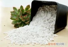 3 养花需要珍珠岩吗，【养花必看】园艺小知识——珍珠岩