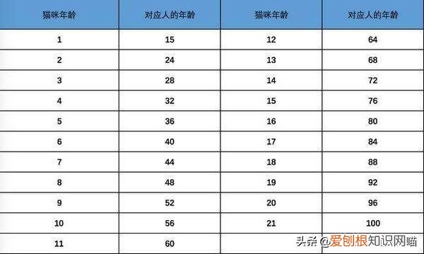 猫奴必懂的104个猫知识pdf，资深猫奴鉴别考试来了！你敢挑战吗？这些题全答对才算牛！