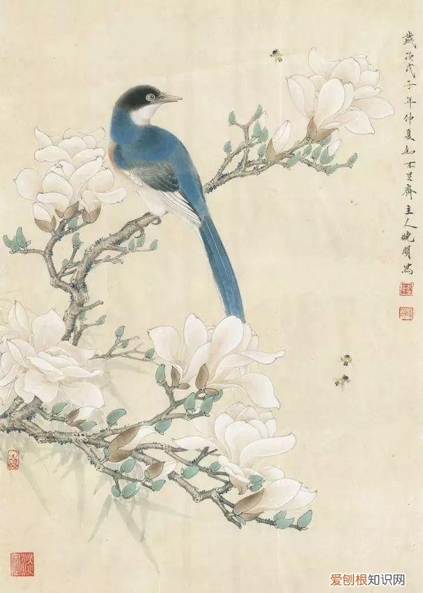 养花是一种心灵的寄托,这18种花,古代人家里都爱养,也是寄托了对生活的期望!