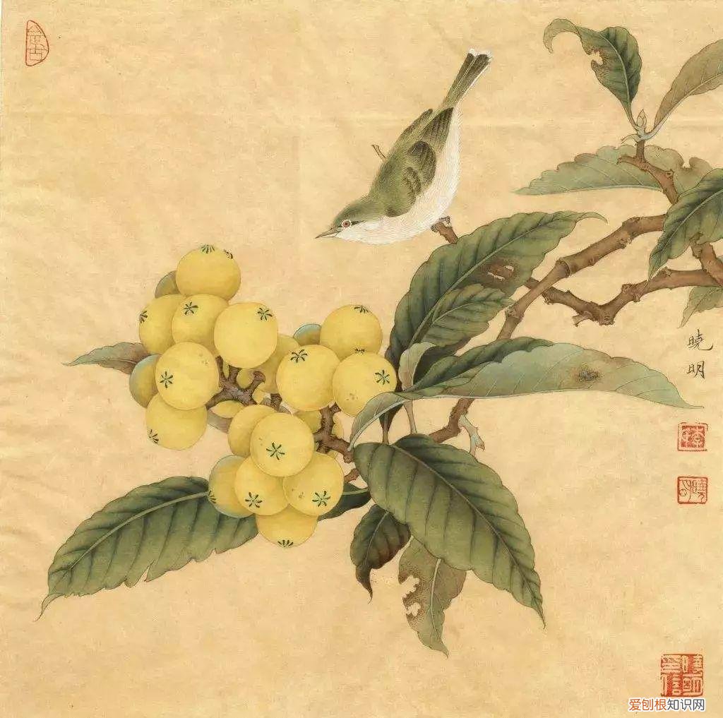 养花是一种心灵的寄托,这18种花,古代人家里都爱养,也是寄托了对生活的期望!