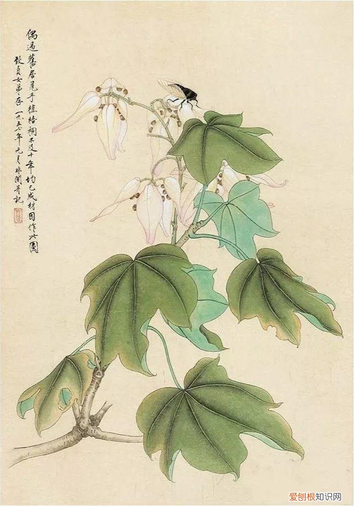 养花是一种心灵的寄托,这18种花,古代人家里都爱养,也是寄托了对生活的期望!