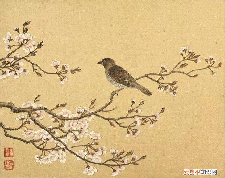 养花是一种心灵的寄托,这18种花,古代人家里都爱养,也是寄托了对生活的期望!