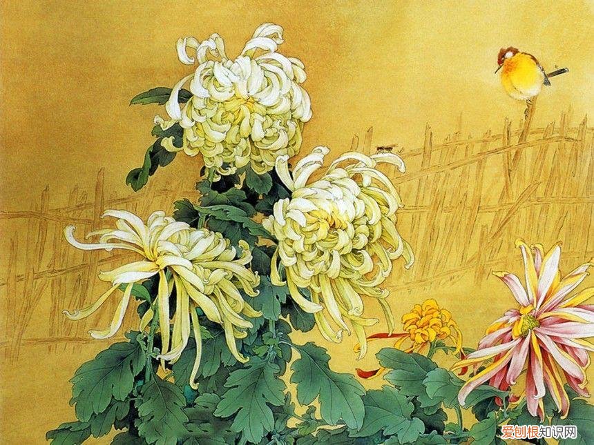 养花是一种心灵的寄托,这18种花,古代人家里都爱养,也是寄托了对生活的期望!