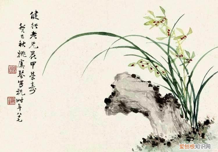 养花是一种心灵的寄托,这18种花,古代人家里都爱养,也是寄托了对生活的期望!