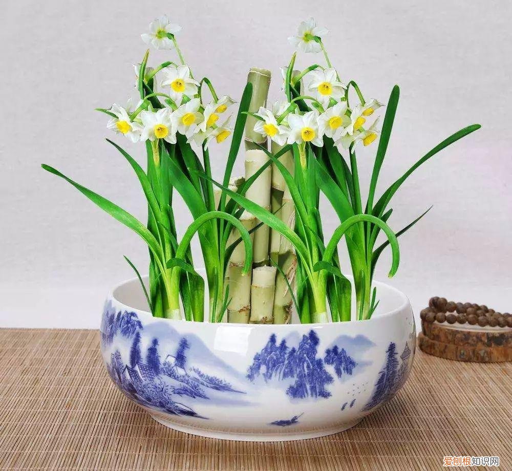 养花是一种心灵的寄托,这18种花,古代人家里都爱养,也是寄托了对生活的期望!