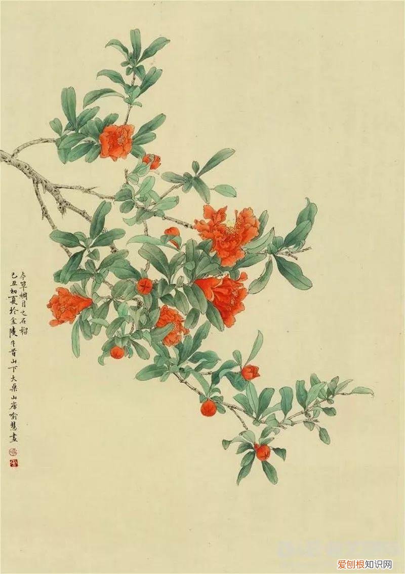 养花是一种心灵的寄托,这18种花,古代人家里都爱养,也是寄托了对生活的期望!