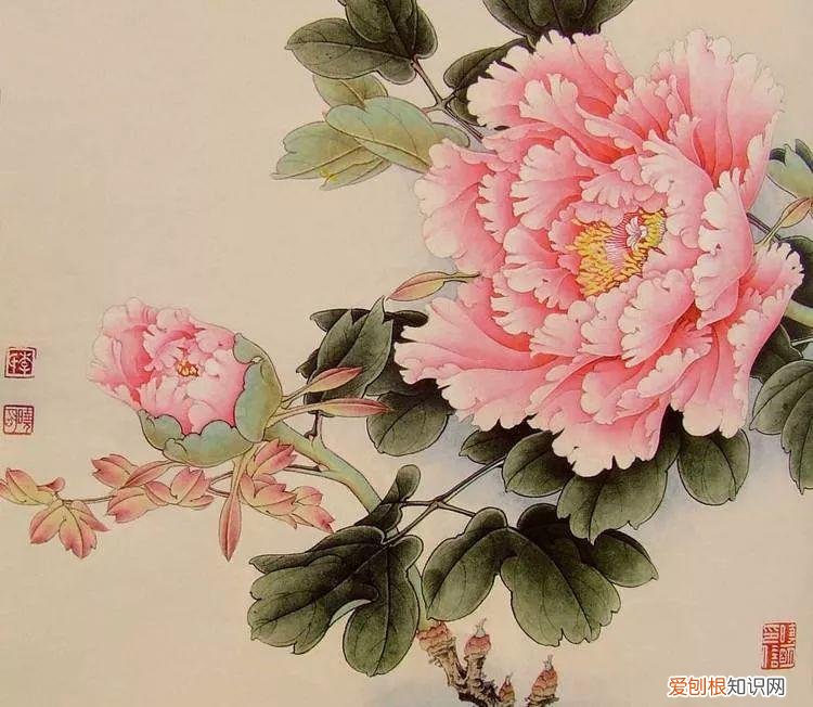 养花是一种心灵的寄托,这18种花,古代人家里都爱养,也是寄托了对生活的期望!