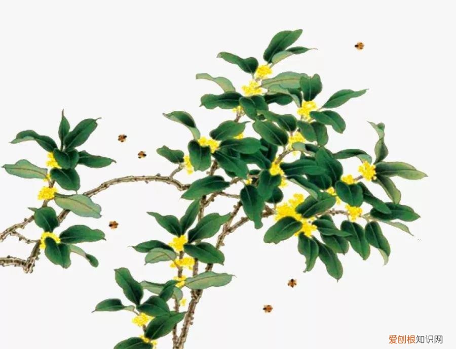 养花是一种心灵的寄托,这18种花,古代人家里都爱养,也是寄托了对生活的期望!
