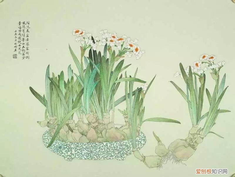 养花是一种心灵的寄托,这18种花,古代人家里都爱养,也是寄托了对生活的期望!